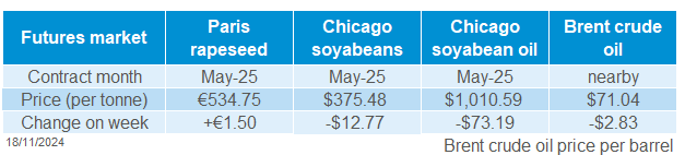 Global oilseeds 18 11 2024